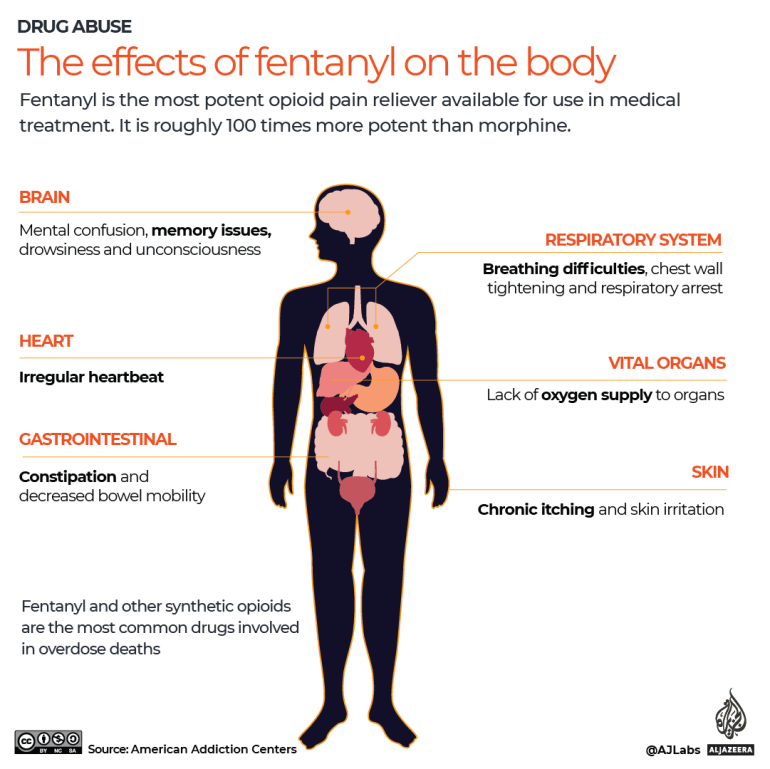 تفاعلي- تأثير الفنتانيل على الجسم-1696489459