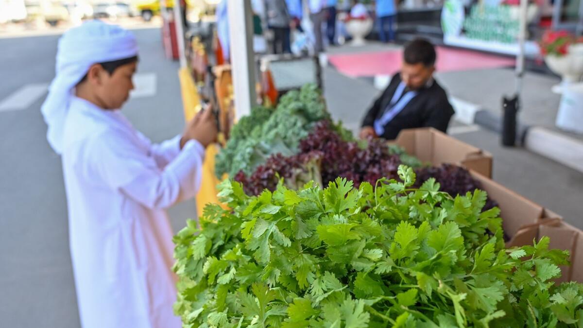 جناح في معرض الذيد الزراعي.