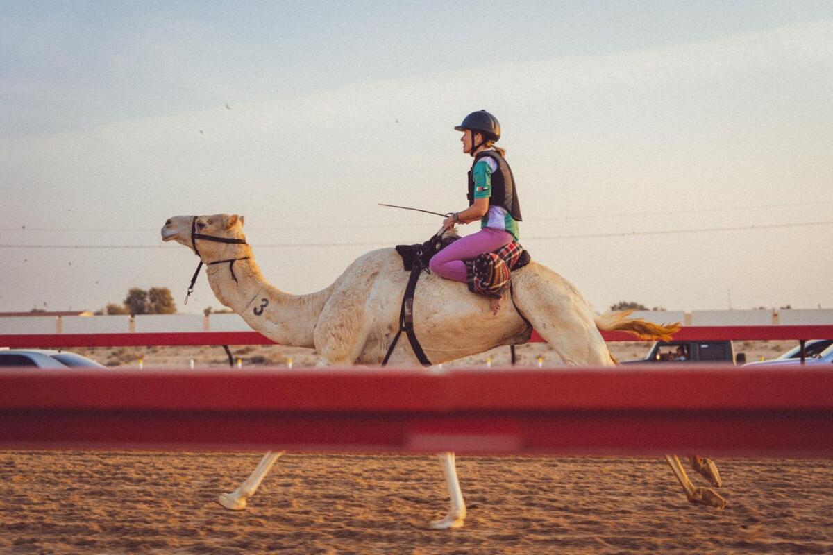 سيونيد تايلور.