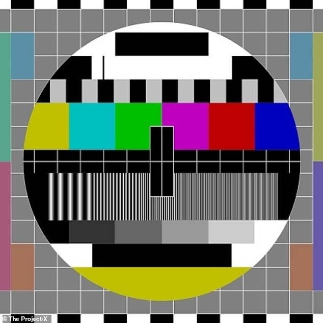 كان المشاهدون في منازلهم في حيرة من أمرهم قبل الساعة السابعة مساءً بقليل عندما اختفى برنامج الأخبار الذي قدمه وليد علي وسارة هاريس وسام تاونتون فجأة من الشاشات، وتم استبداله بحلقة من The Dog House Australia.