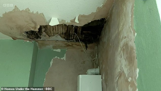 لحسن الحظ، تم إصلاح تسرب السقف المثير للقلق، لذا على الأقل أصبح المنزل محكم الإغلاق قبل اللمسات النهائية.