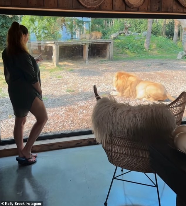 قدمت كيلي عرضًا طويلًا حيث أظهرت المناظر الرائعة التي توفرها الإقامة لحظيرة الأسد