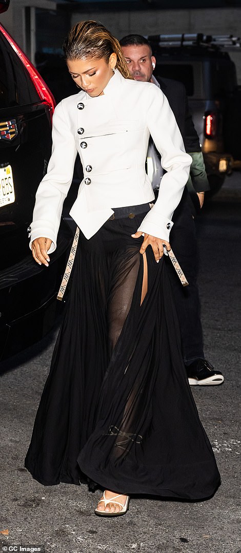 مع نجاح فيلم Dune 2 في كل من المكتبين، أخبرت زيندايا موقع Fandango أنها ستكون منفتحة على إعادة تمثيل دورها كـ Chani في جزء ثالث محتمل