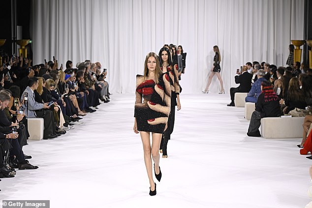 النجوم شاهدوا العرض