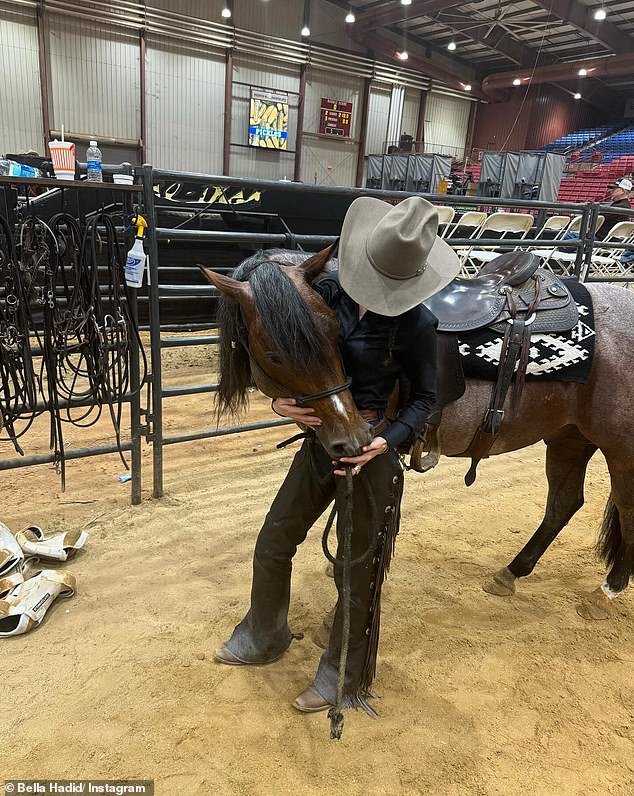 هذا العام، أقيم معرض Southern Cutting Horse Futurity في الفترة من 18 إلى 26 أكتوبر في جاكسون بولاية ميسيسيبي.