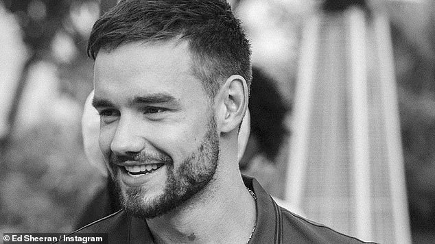 سقط عضو One Direction السابق، البالغ من العمر 31 عامًا، من الطابق الثالث في فندق CasaSur Palmero في بوينس آيرس بعد الساعة الخامسة مساءً بقليل مساء الأربعاء.