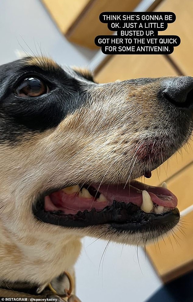 'أعتقد أنها ستكون بخير. كشفت نجمة موسيقى الريف إلى جانب صورة تظهر الدم في أنفها: 