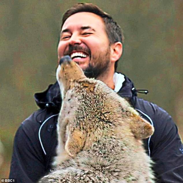 ممثل Line Of Duty مارتن كومبستون يحتضن ذئبًا في برنامجه الجديد على قناة بي بي سي Martin Compston’s Danish Fling