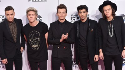 تحطيم الوظائف الفردية لرجال One Direction بالأرقام