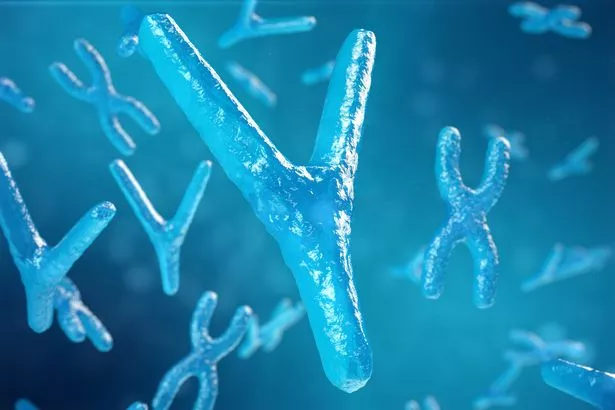 التوضيح ثلاثي الأبعاد كروموسومات xy كمفهوم للعلاج الجيني للبيولوجيا البشرية أو أبحاث علم الوراثة في علم الأحياء الدقيقة.