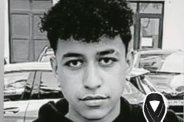 دانييل جالهاناس