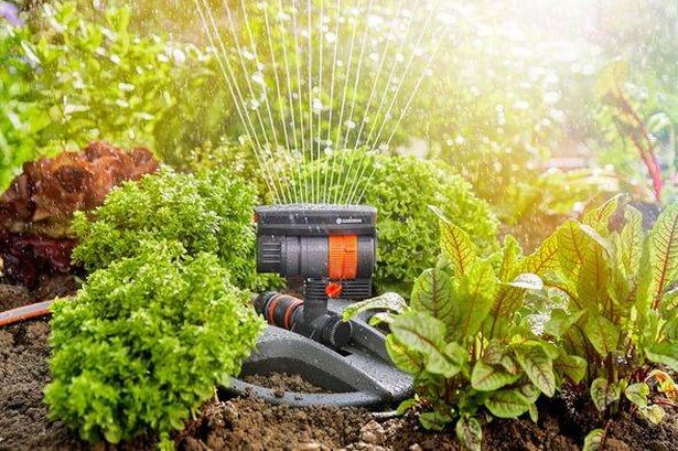 Amazon Sprinkler