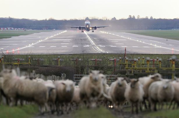 وفقًا للبحث من Airhelp و Huffington Post ، قد يساعدك وقت رحلتك في إنقاذك من التأخير

