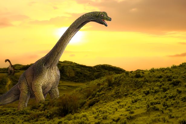 عمل فني ل brachiosaurus
