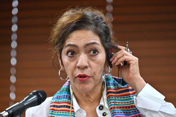 un apporteur elizabeth salmon