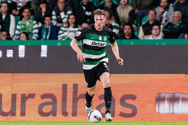 Viktor Gyokeres في العمل من أجل الرياضة