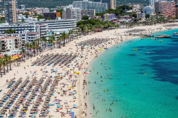 مايوركا ، إسبانيا - 13 يوليو: حمامات الشمس السياحية في Magaluf Beach في 13 يوليو 2014 في مايوركا ، إسبانيا. Magaluf هي واحدة من وجهات العطلات المفضلة في بريطانيا التي تحظى بشعبية مع Sun و Beach and Clubbers على حد سواء. (تصوير ديفيد راموس/غيتي إيمايز)