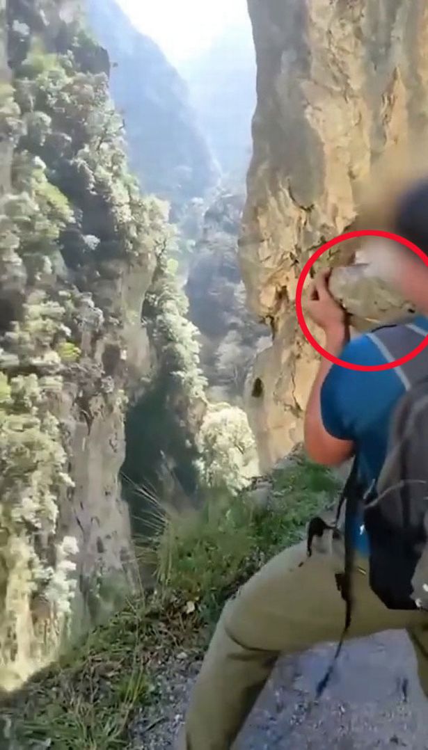 شوهد السائح وهو يرمي الصخرة