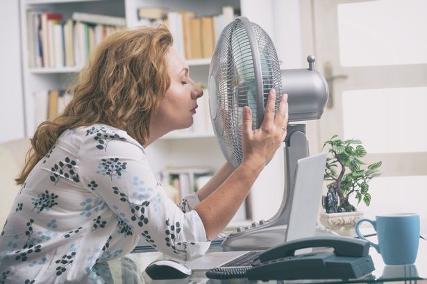 يوصي الأبحاث الوزراء بتعيين عتبة 27 درجة مئوية من درجة حرارة العمل للعمال