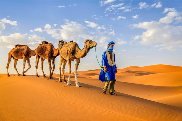 Tuareg مع الجمال على الجزء الغربي من صحراء الصحراء في المغرب. صحراء الصحراء هي أكبر صحراء ساخنة في العالم.