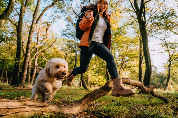 المنظر المنخفض للزاوية للمرأة الشابة التي تقفز فوق جذوع خشبية مع كلبها Goldendoodle في الغابة. الذهاب في مغامرة واستكشاف الطبيعة. نمط الحياة الصحي والنشط.