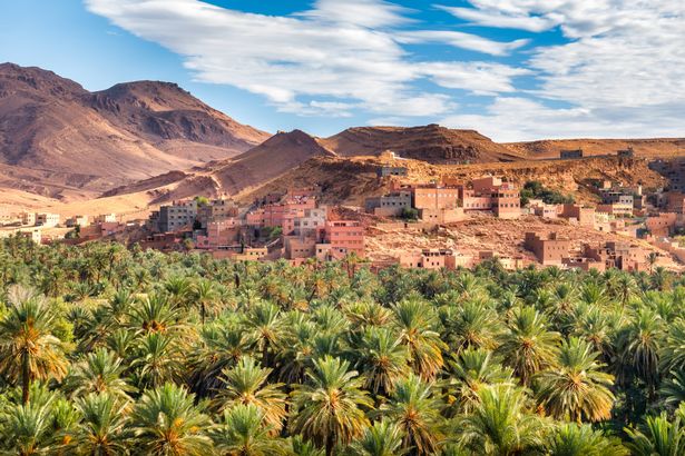 قرية بيربر في بستان النخيل في المغرب مع السماء الزرقاء