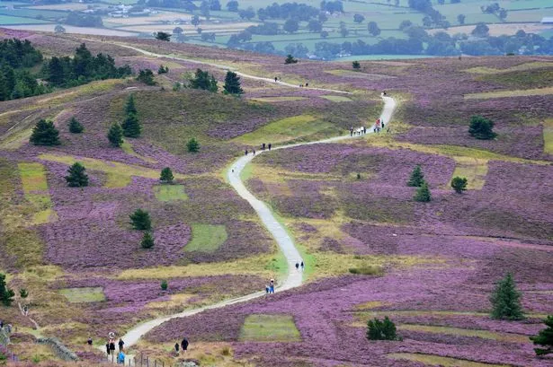 Moel Famau أعلى تل في مجموعة Clwydian