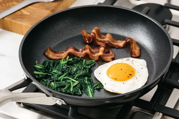 نينجا Zerostick Pan