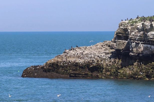 ساحل Anglesey