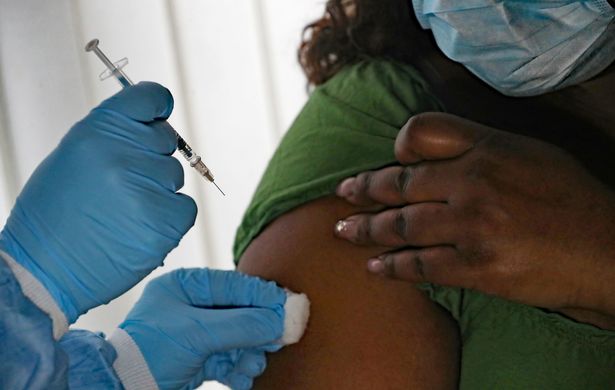 سيتم طرح لقاح للسيلون في إنجلترا كجزء من برنامج عالمي الأول