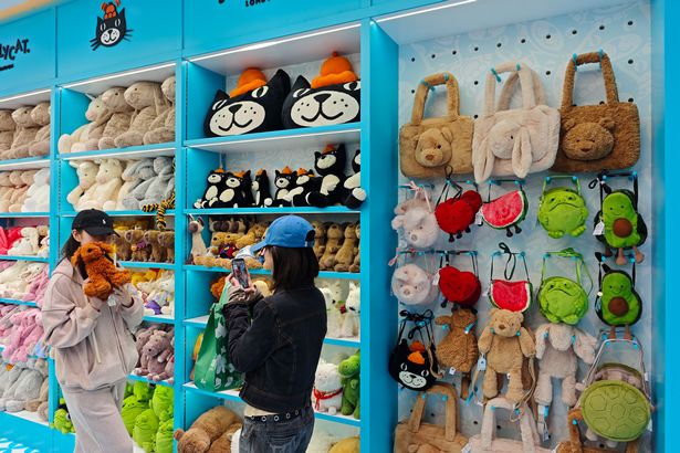 متجر العملاء في متجر Jellycat Doll في شنغهاي ، الصين