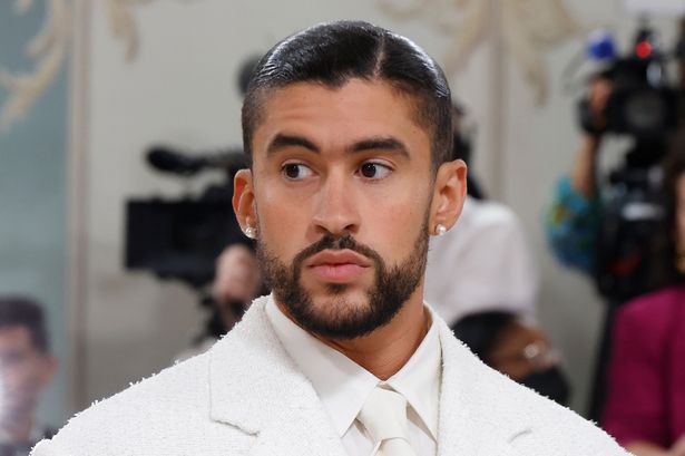أرنب سيء