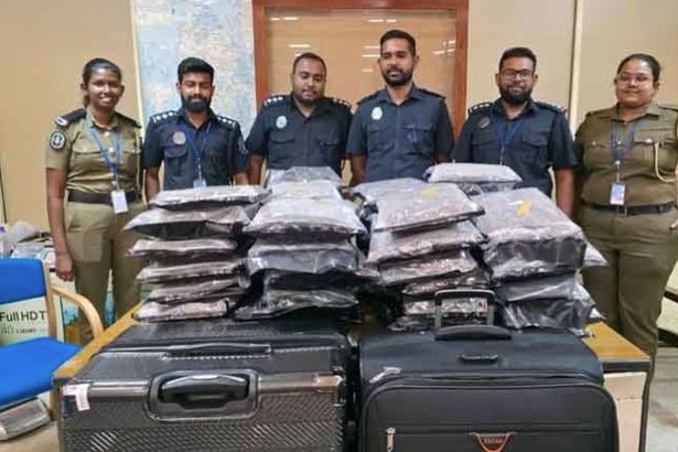 عثرت السلطات السريلانكية على 46 كجم من كوش-سلالة عالية الجودة من الحشيش-في أمتعة شارلوت ماي لي لي