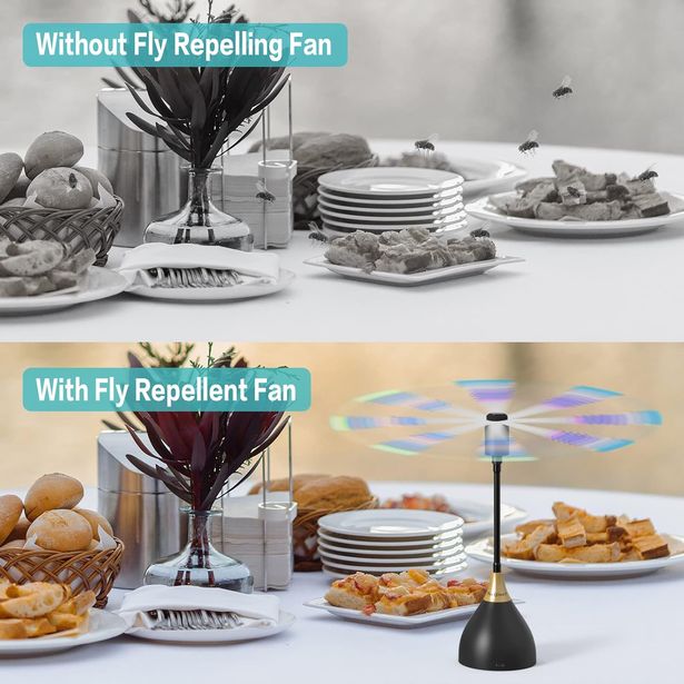 Neijiaer Fly Fans for tables