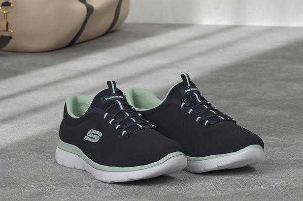 مدربون قمة Skechers