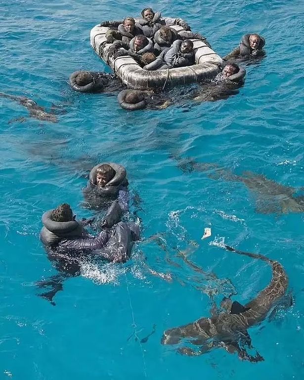 تحذير: الإنترنت الاستيلاء على قصة USS Indianapolis تم تحويلها إلى فيلم صدر في عام 2016
