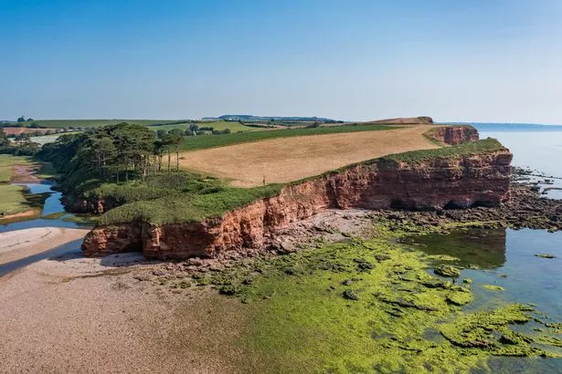 المنحدرات ، الشاطئ والبحر في يوم مشمس صافٍ على Budleigh Salterton ، Devon ، المملكة المتحدة