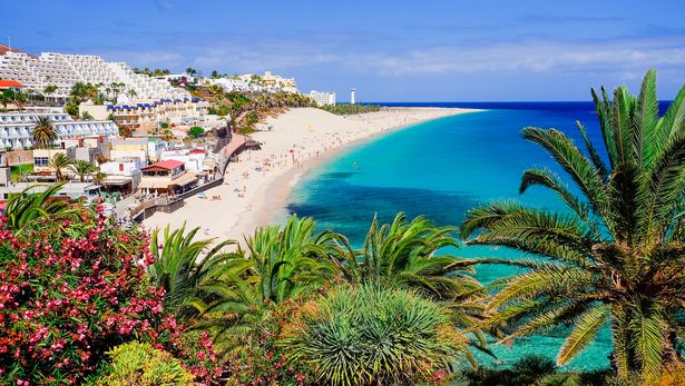 شاطئ Playa de Morro مع Green Palms ، عرض على المدينة وساحل المحيط الأطلسي. موقع الجزيرة الكناري فويرتيفنتورا ، إسبانيا.