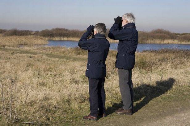 مراقبي الطيور في RSPB Dungeness Reserve.