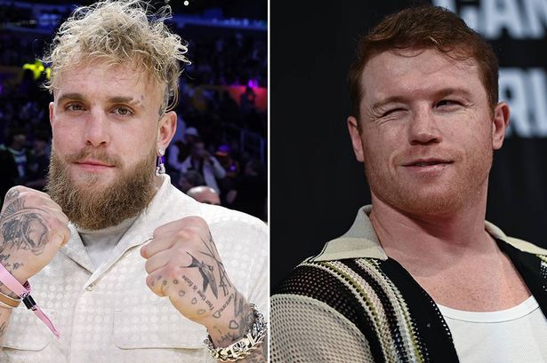 يؤكد جيك بول موعد وموقع المعركة القادمة على الرغم من التقارير التي من المقرر أن يواجهها Canelo Alvarez في مايو