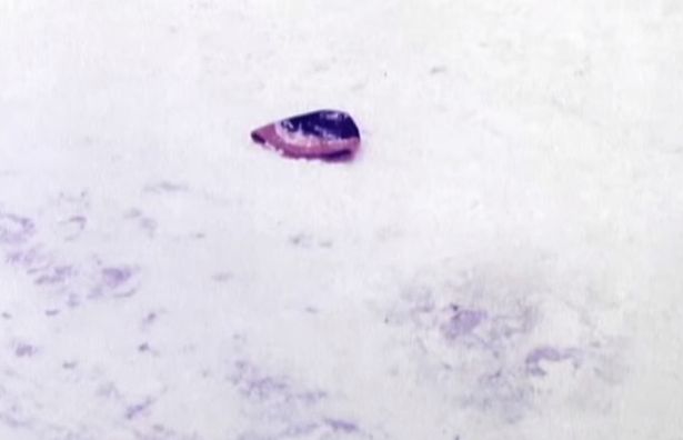 جريمة