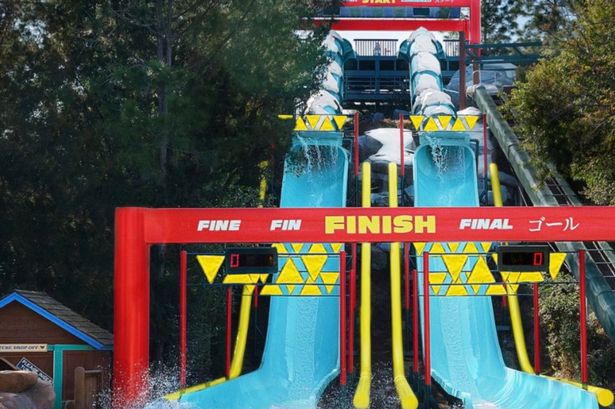 Downhill Double Dipper في Disney World في فلوريدا