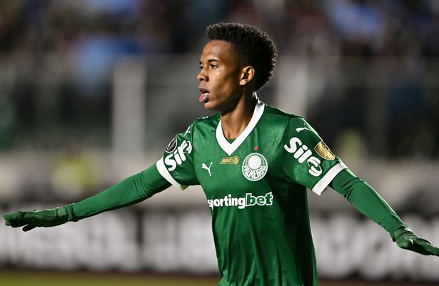 Estevao Willian في العمل من أجل Palmeiras