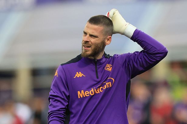 ديفيد دي جيا من ACF Fiorentina