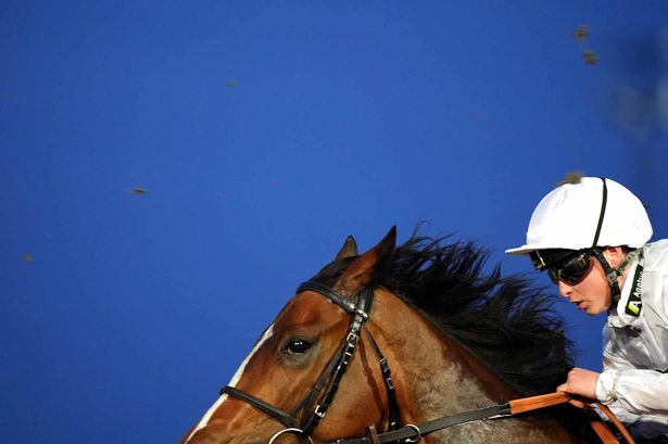 Taryn Langley: تحصل على فرصتها الكبيرة في Northumberland Plate