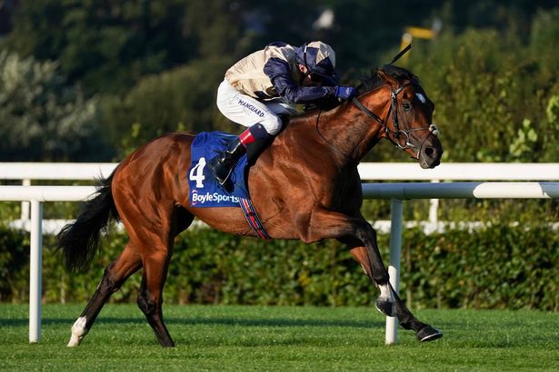 طيران من قبل ديكلان ماكدونوغ في طريقهم للفوز بجائزة أفضل سباق لسباق Boylesports في Leopardstown ، دبلن