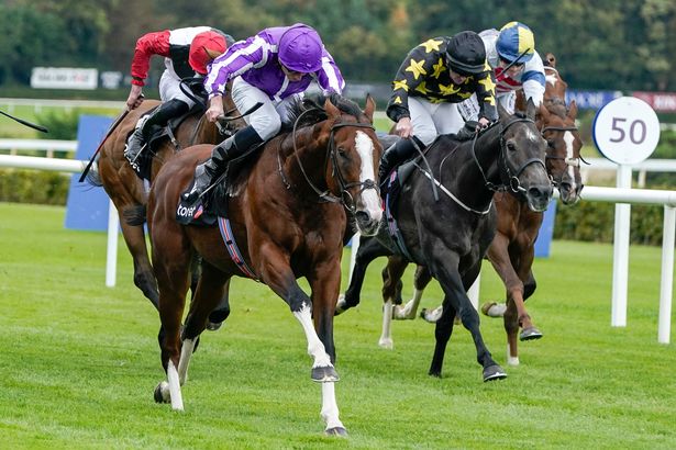 ريان مور ركوب دييغو فيلازكويز (الأرجواني/الأبيض) يفوز بجائزة Tonybet Solonaway Stakes في Leopardstown Racecourse