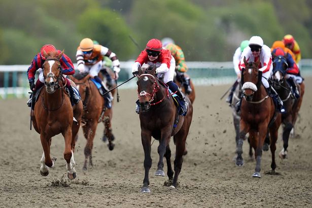 ركبت Taryn Langley أكبر فائز لها حتى الآن على المد والجزر (يسار) في Lingfield