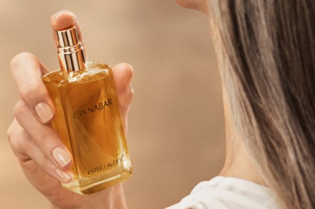 عطر Estée Lauder's Cinnabar