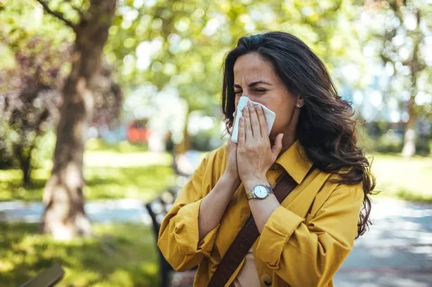 تم تحذير الأشخاص الذين يعانون من Hayfever هذا الصيف من شراء نوع من المخدرات المتاحة على الإنترنت